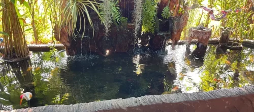 Cheunjai restaurant fish pond