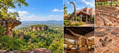 Phu Wiang National Park  Dinosaur Museum