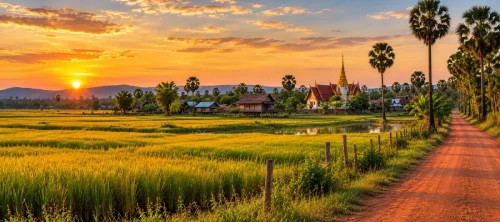 Isaan Countryside